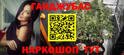 эйфоретик Можга