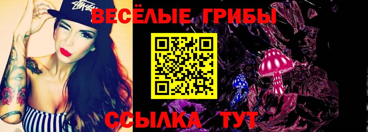 Галлюциногенные грибы Cubensis Губаха
